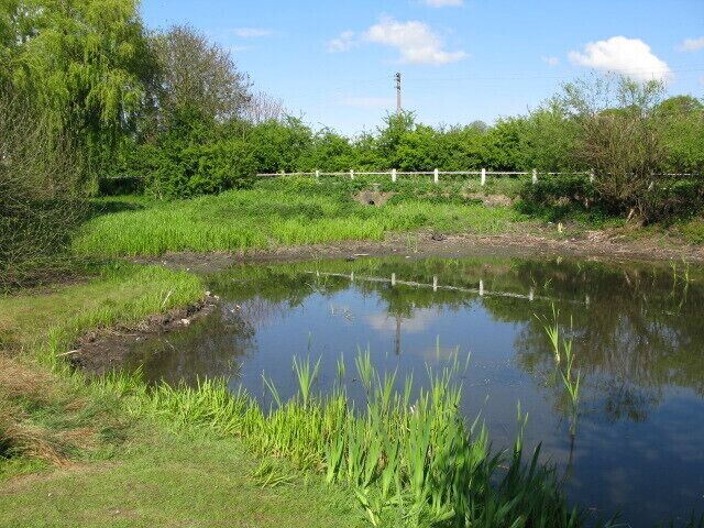 Buttsole pond on Lower Street, Eastry