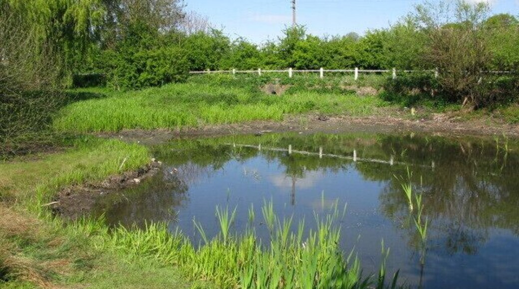 Buttsole pond on Lower Street, Eastry