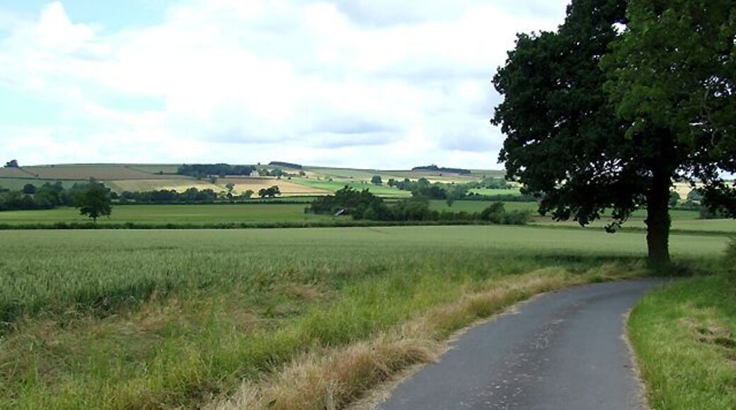 The Road to Corve Barn, Shropshire The public footpath across the wheat field is just visible at the far end.