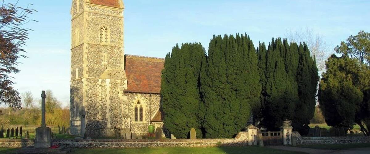 A historic church with a tall tower and a large cypress tree in front.