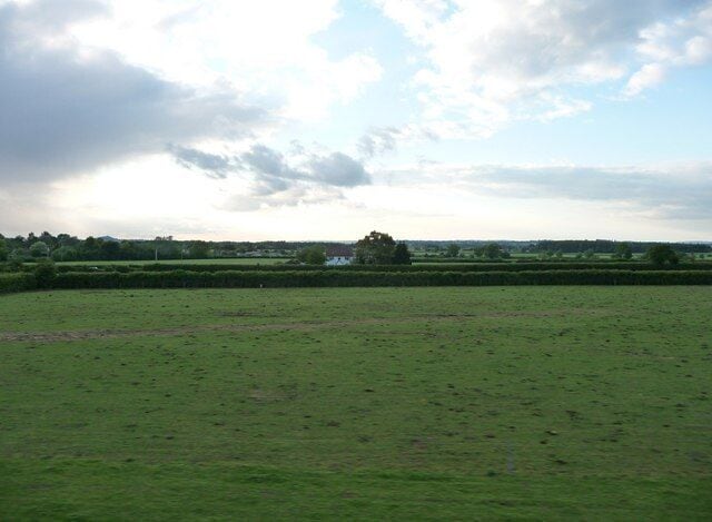 South Somerset : Grassy Field & Hedgerow