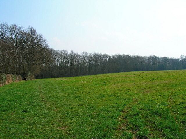 France Wood Taken from the Weald Way.