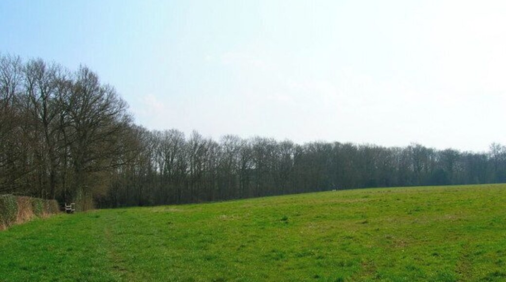France Wood Taken from the Weald Way.