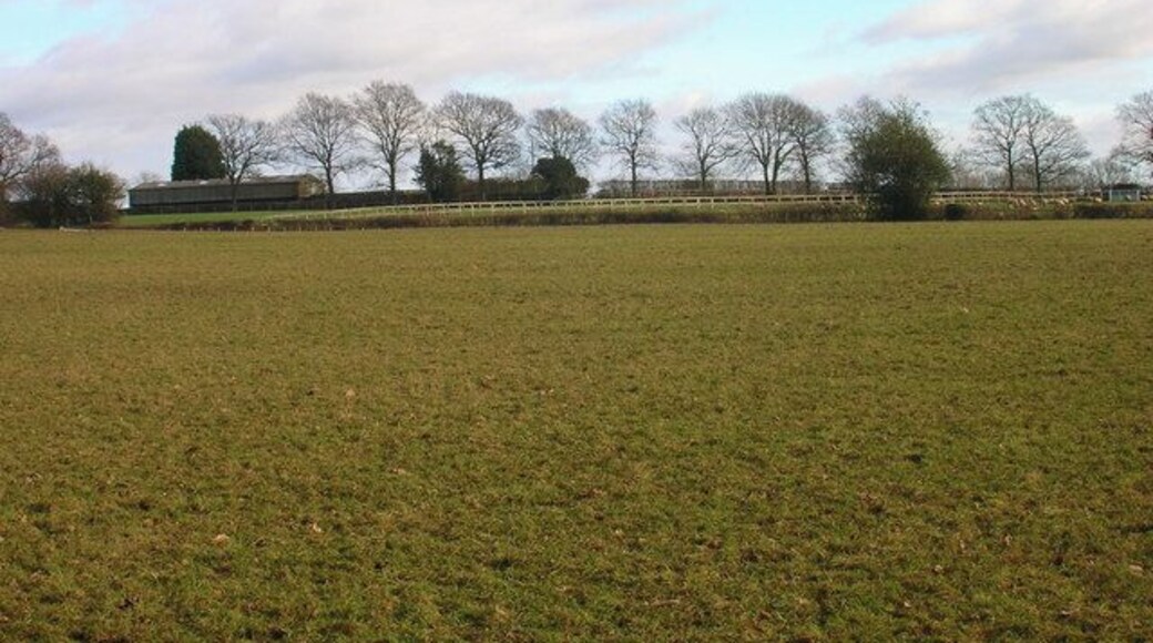 Field near Tourle's Farm An outbuilding can be seen on the ridge to the right. Somewhere to the right a footpath leads up there but is overgrown and impassable.