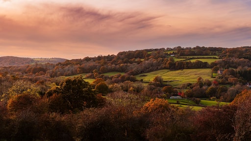 Eine hügelige Landschaft mit Herbstlaub, ein kleines weißes Gebäude und eine entfernte Bebauung auf einem Hügel.