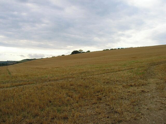 High Down. The steep slopes of the hill to the north east of East Dean taken from a farm track that leads of Droke Lane. Highdown Croft is just visible beyond the slope.