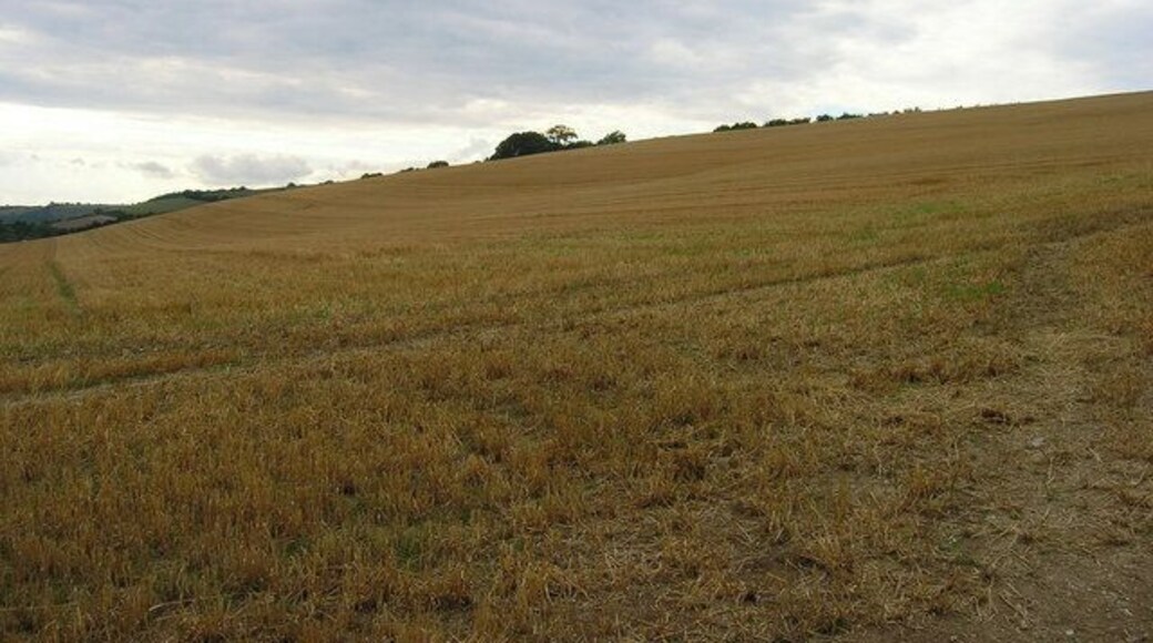 High Down. The steep slopes of the hill to the north east of East Dean taken from a farm track that leads of Droke Lane. Highdown Croft is just visible beyond the slope.