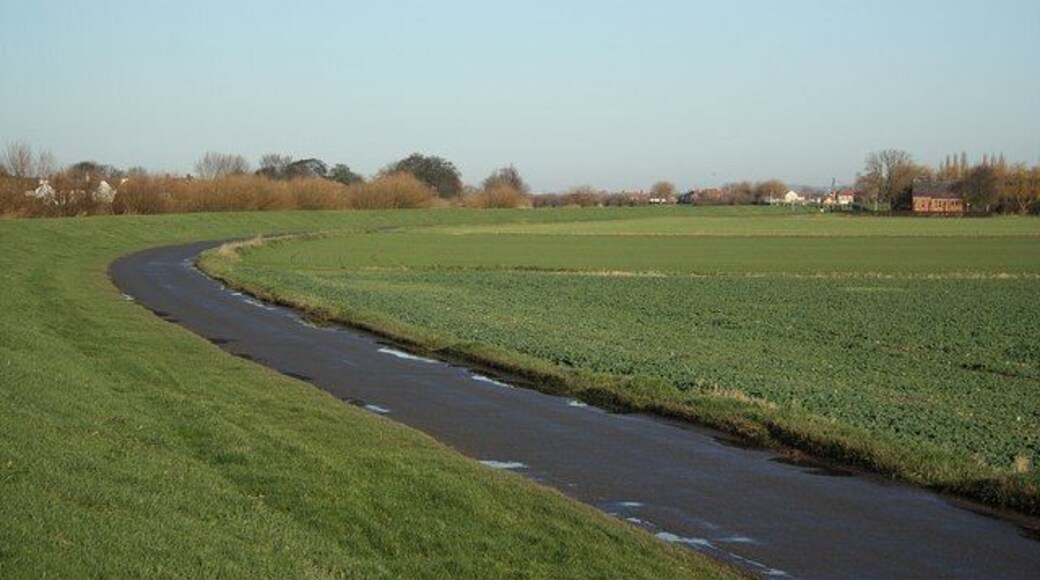 East Butterwick: View from the Trent bank towards East Butterwick.