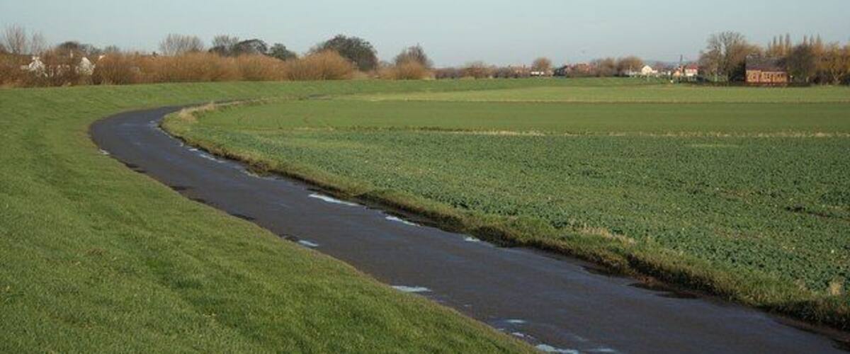 A winding road through a green field with a small stream running alongside it.