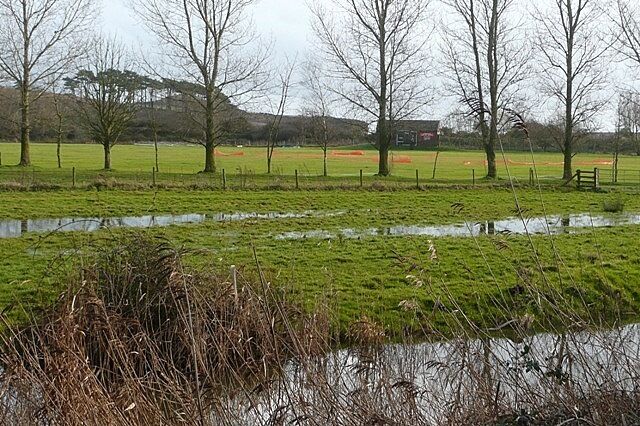 A grassy field with a small pond, trees, and a fence.
