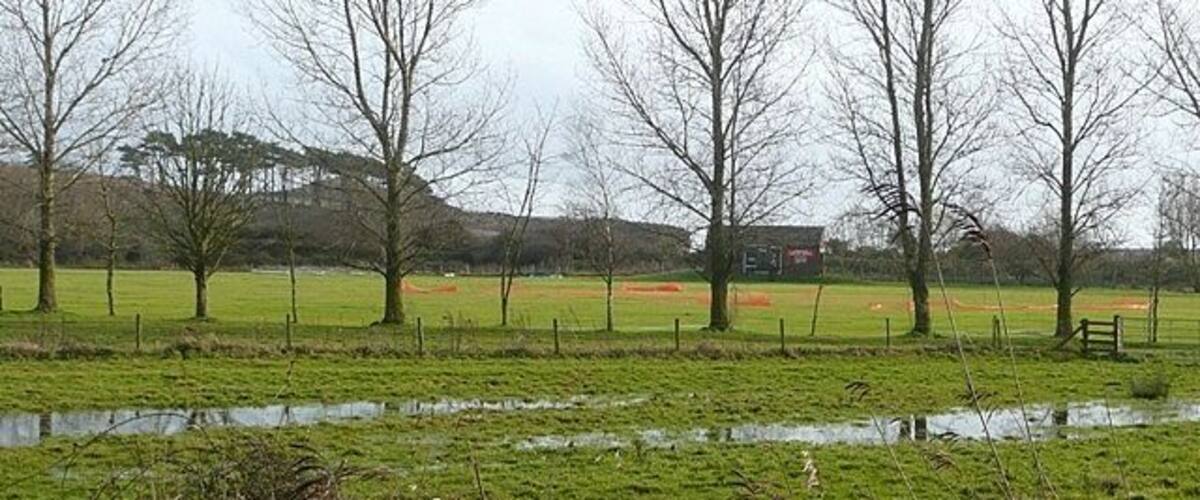 A grassy field with a small pond, trees, and a fence.