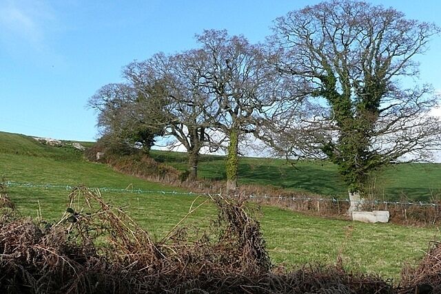 Old field boundary off Hayewood Lane The ancient trees give away that this is an old boundary. Taken from Hayeswood Lane.