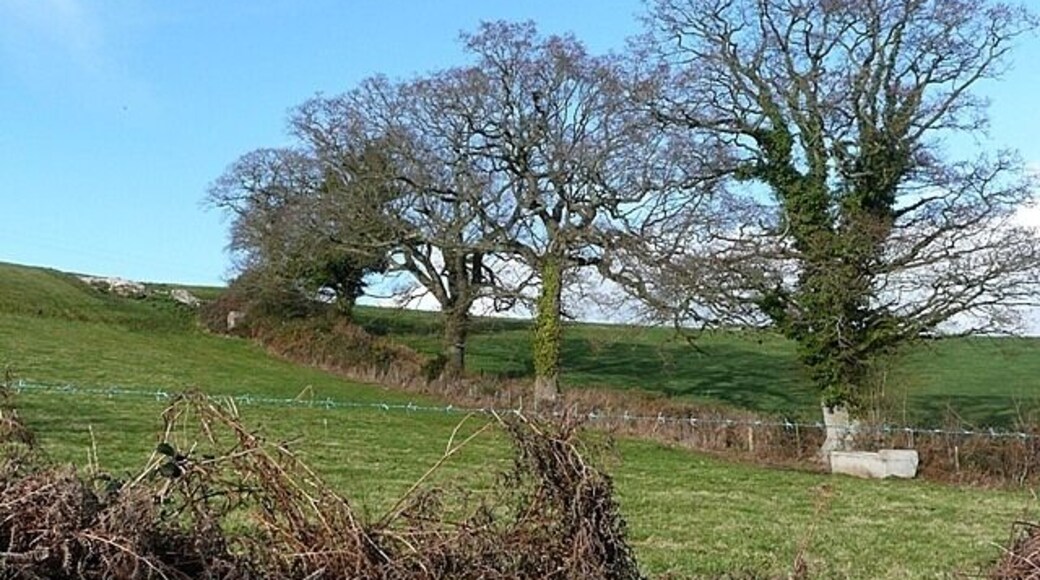 Old field boundary off Hayewood Lane The ancient trees give away that this is an old boundary. Taken from Hayeswood Lane.