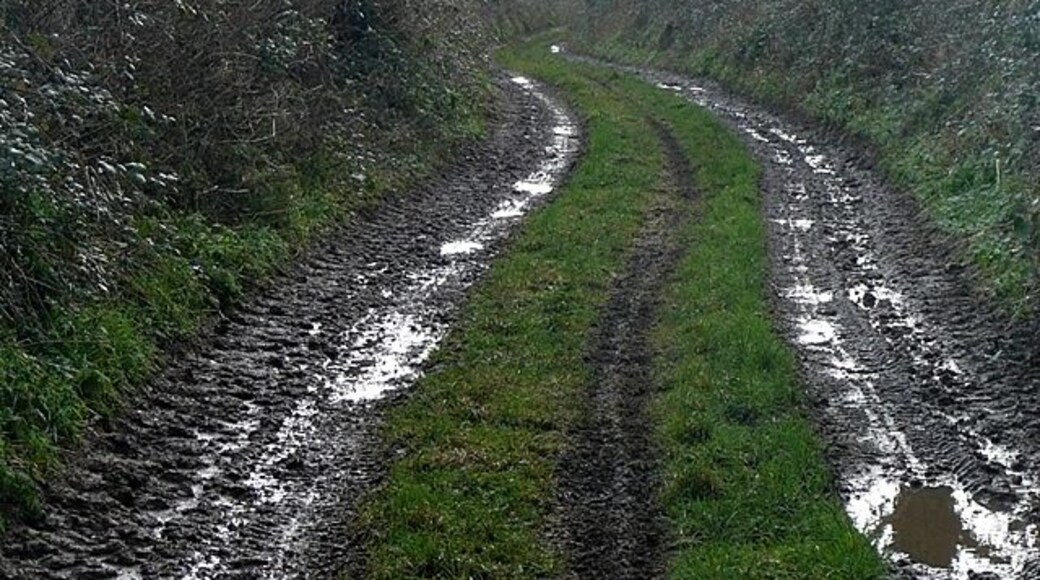 Green lane to Kersbrook This would have been the original lane from East Budleigh, the main settlement, through Kersbrook to Salterne (now Budleigh Salterton) the fishing and salting port.