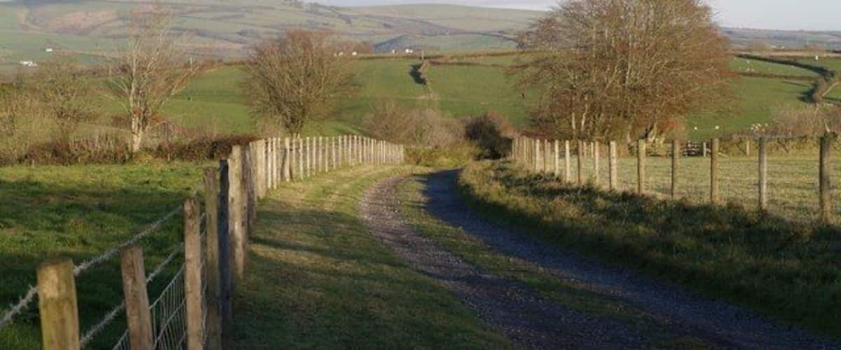 Track to Tossell's Barton The farm road curves away from the lane from Wistford Cross to Kimbland Cross.
