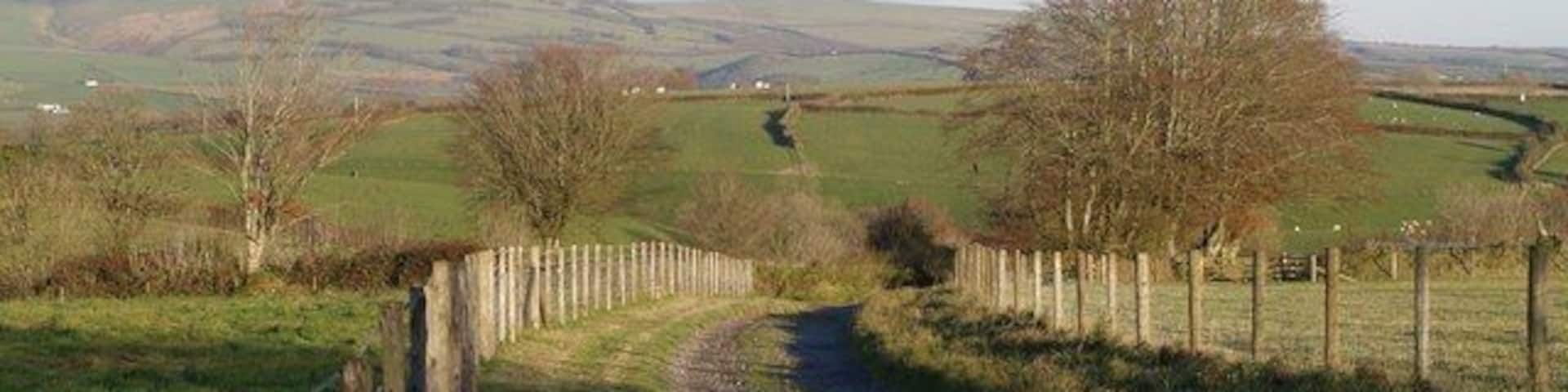 Track to Tossell's Barton The farm road curves away from the lane from Wistford Cross to Kimbland Cross.