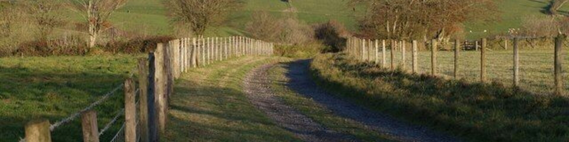 Track to Tossell's Barton The farm road curves away from the lane from Wistford Cross to Kimbland Cross.