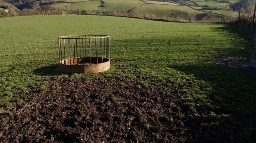Field on Brayley Hill A feeder graces a field to the north of the lane descending Brayley Hill. The view behind is of the eastern slopes of the Bray valley, and largely in SS6930. On the left is Lowdy Cleave.