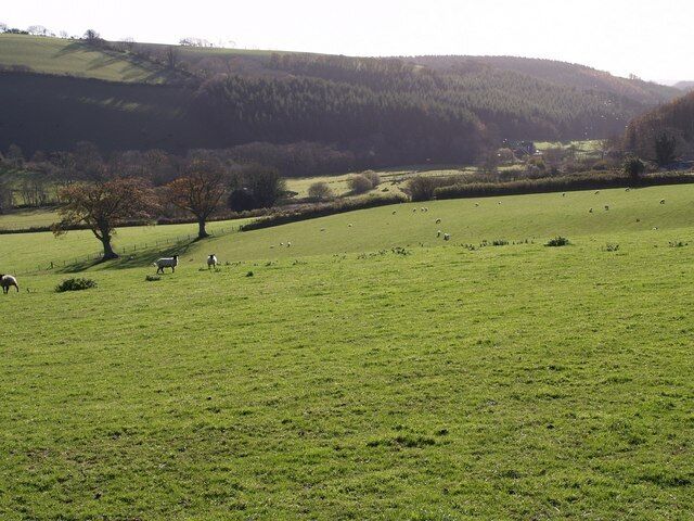 Bray valley A view across fields on the western slopes, down to the valley floor, taken from the point where the farm drive to Brayley Barton leaves Brayley Hill. The far side of the valley, with Embercombe Wood on the steep slopes is in square SS6929.