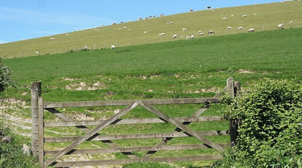 West Buckland: by Leary Barton Looking north-north-west opposite the entrance to Leary Barton