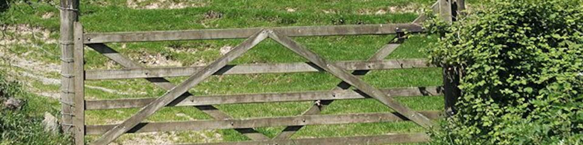 A wooden gate, green grass, and sheep on a hill.