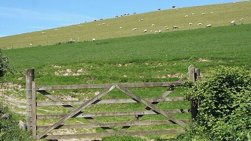 West Buckland: by Leary Barton Looking north-north-west opposite the entrance to Leary Barton