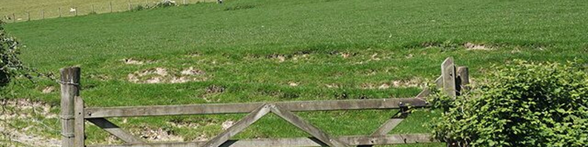 West Buckland: by Leary Barton Looking north-north-west opposite the entrance to Leary Barton
