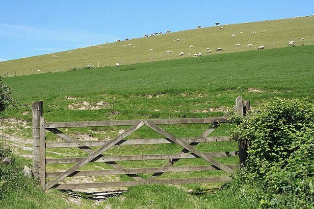 A wooden gate, green grass, and sheep on a hill.
