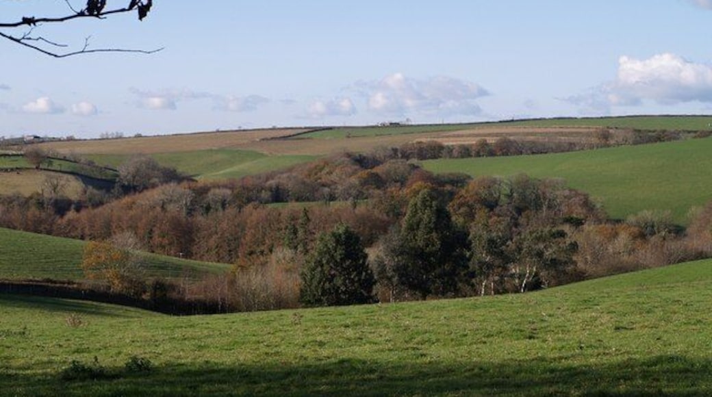 Valley of the Venn Taken from one of several sharp bends in the no through lane from West Buckland to Taddiport, followed by the Tarka Trail and the Macmillan Way West, both of which continue across the valley. The lane can be seen descending past the nearest trees, down a side valley. Left of centre, beyond Accott Woods, another deeper side valley enters from the opposite side of the Venn.