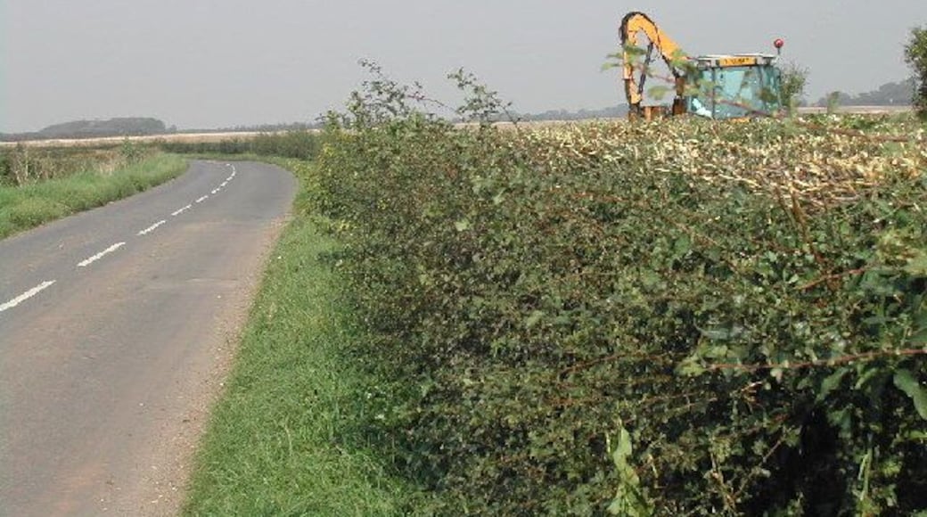 Hedge trimming. farmland near Newton Village
