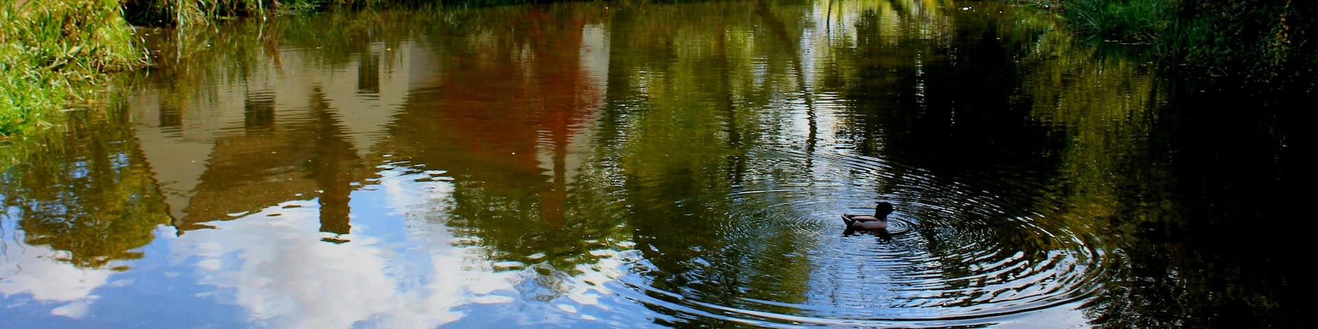 A serene English country scene. Willy Lott's cottage near Flatford Mill featured in several of Constable's paintings including the Haywain. It was renovated in the 1920s #NationalTrust #art