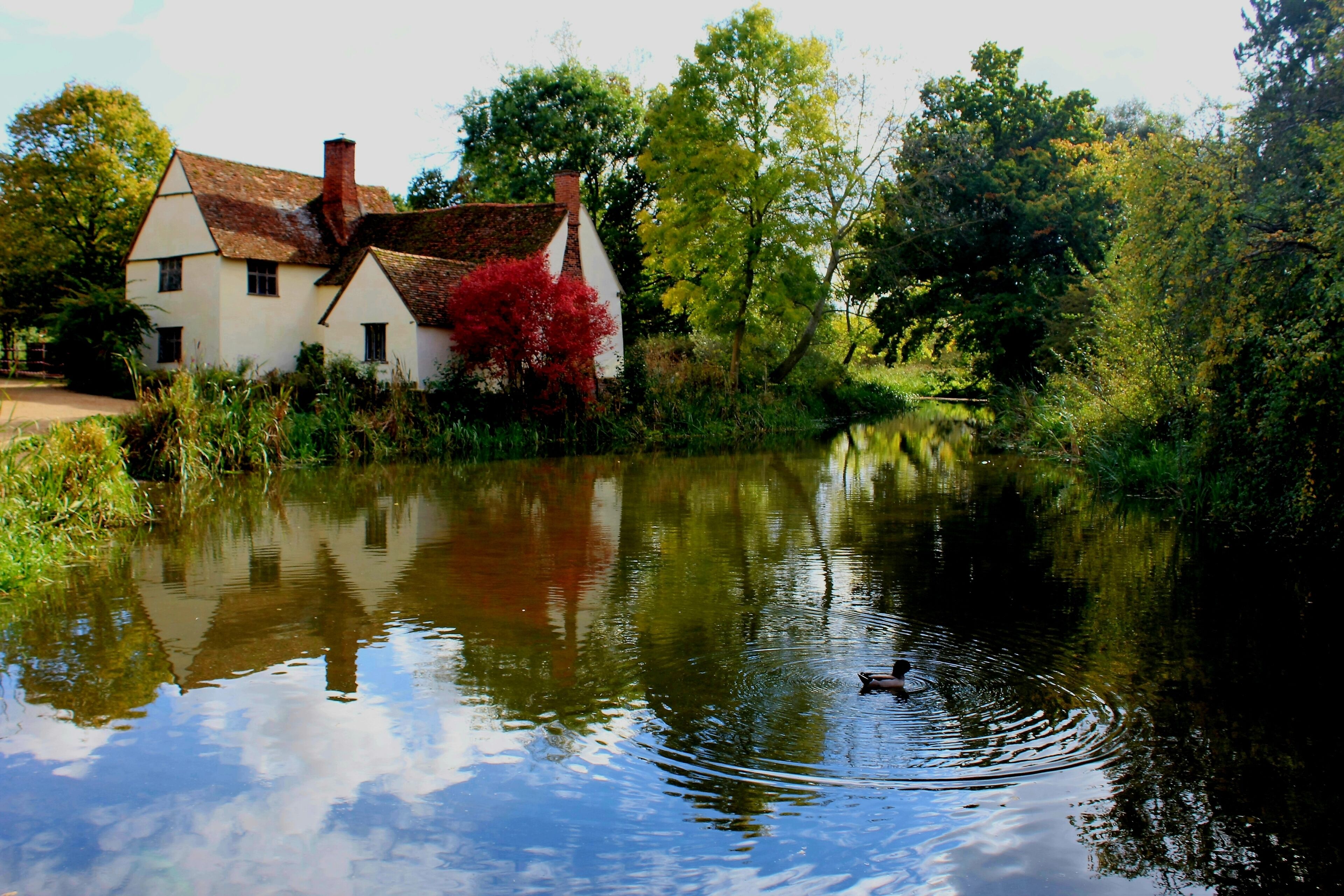 A house by a calm river with reflections of trees and a duck swimming.