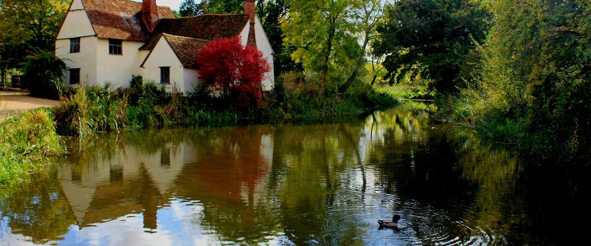 A house by a calm river with reflections of trees and a duck swimming.