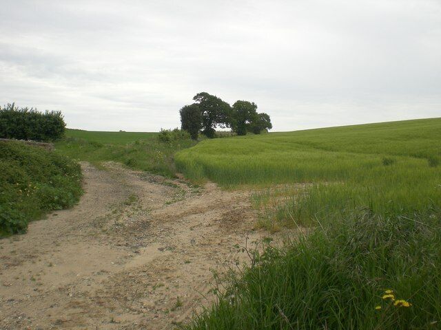 North near East Barsham from lane towards Great Snoring