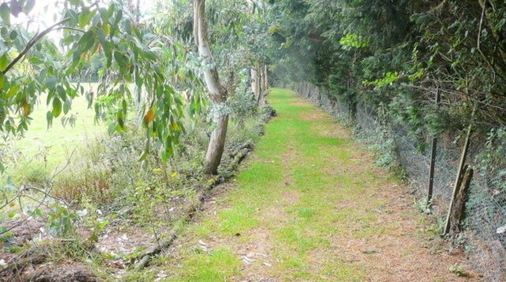 Footpath to Almodington Looking east from near Bookers Lane; the path follows the edge of a garden.