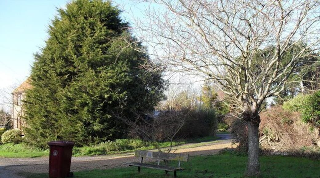 Seat opposite Earnley Church