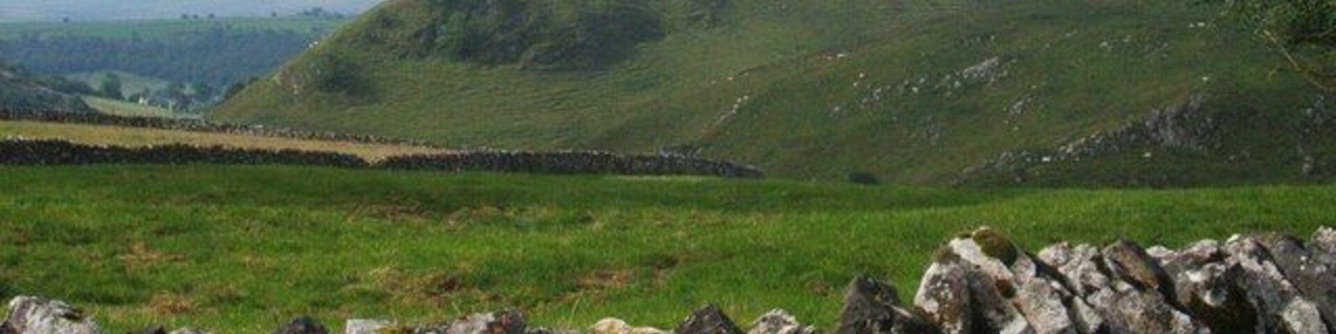 Drystone wall, fields and Parkhouse Hill, near Earl Sterndale