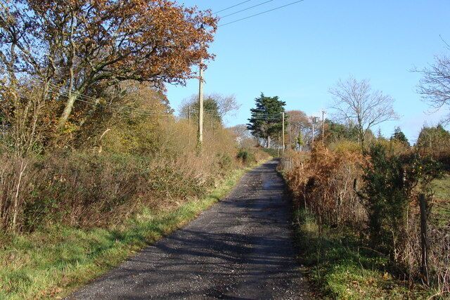 Track near Dunvant on a beautiful day. This is also a footpath, and the "Co Const Bdy" - which I take to be the County Constabulary Boundary!