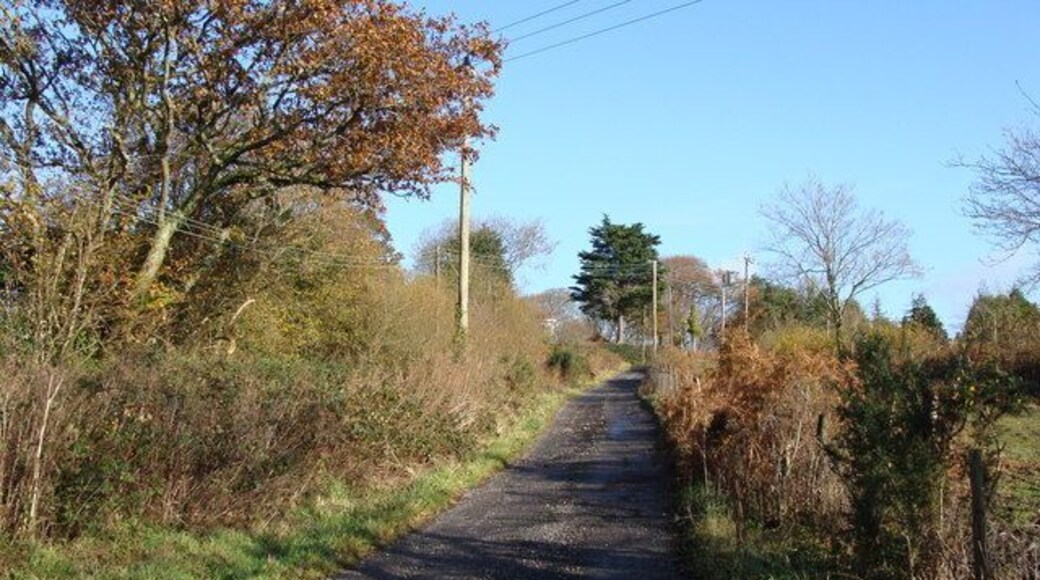 Track near Dunvant on a beautiful day. This is also a footpath, and the "Co Const Bdy" - which I take to be the County Constabulary Boundary!