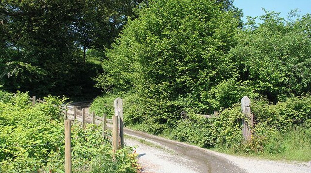 Dunvant: lane to Bevexe-fawr. At Bevexe-fawr a farm shop offers Gower Venison. Looking north west