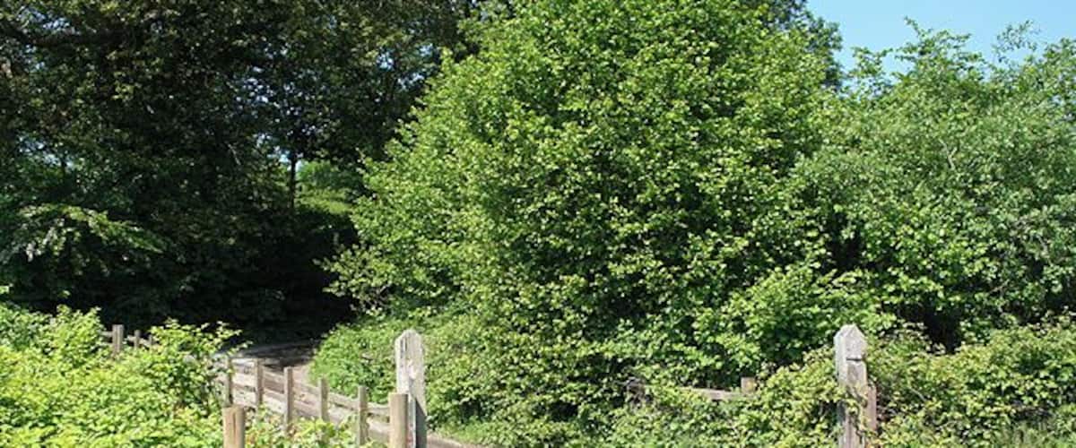 A gravel road curving through a wooded area with a wooden gate and directional signposts.