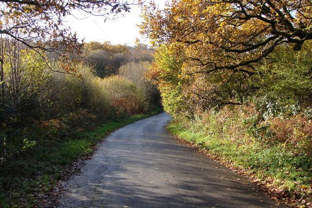 Road scene in Autumn