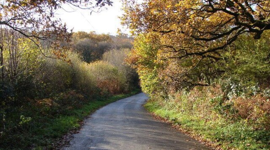 Road scene in Autumn