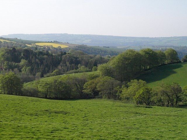Countryside near Endsleigh. A view from the B3362 east of Eastacott. The striking field boundary composed of newly-leafed trees forms part of the parish boundary between Dunterton and Milton Abbot. The valleys lead down to the Tamar past 468013.
