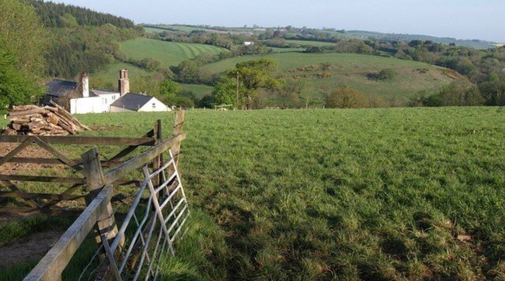 Tamar valley On the left is Hardstone Farm. Hardstone Wood, which clothes the steep eastern sides of the valley here, is almost entirely hidden. On the left, on the far side of the river, Greystone Wood clothes Castlepark Hill.