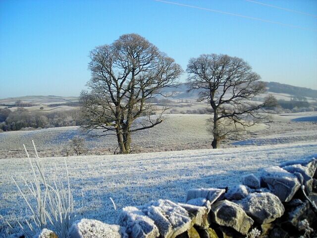 A frosty landscape with two leafless trees and a stone wall in the foreground.