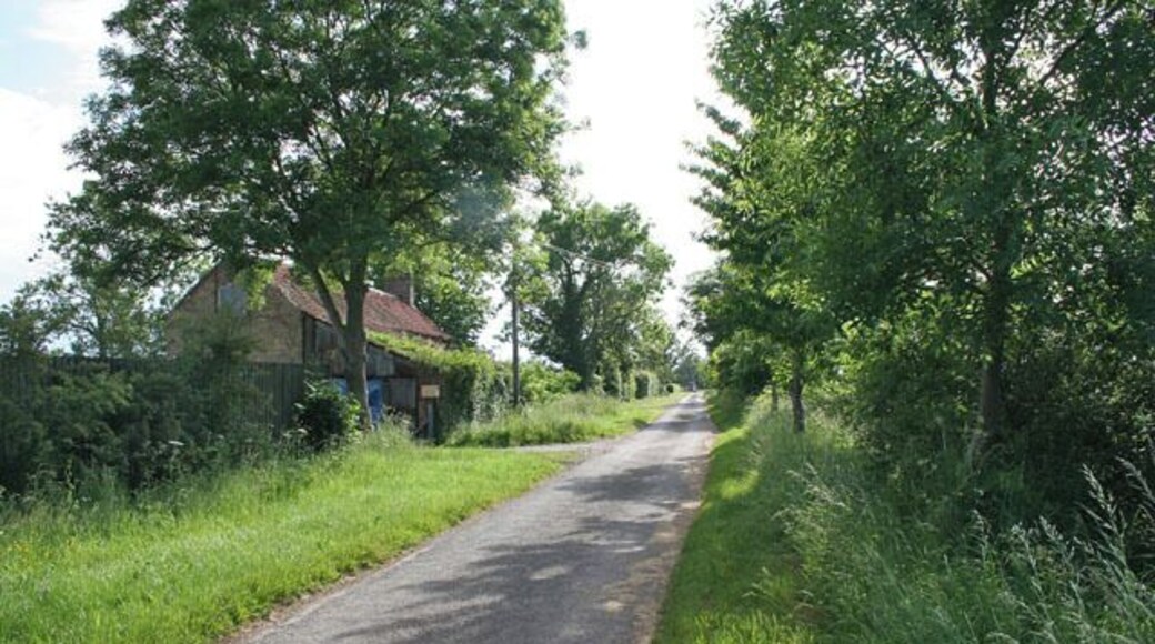 Ashing Lane near Dunholme. Looking towards Ashlin Farm