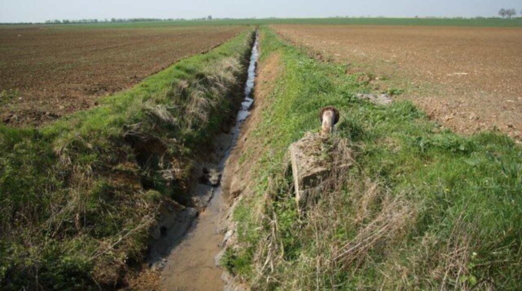 Dunholme drain Drain and farmland off Scothern Lane
