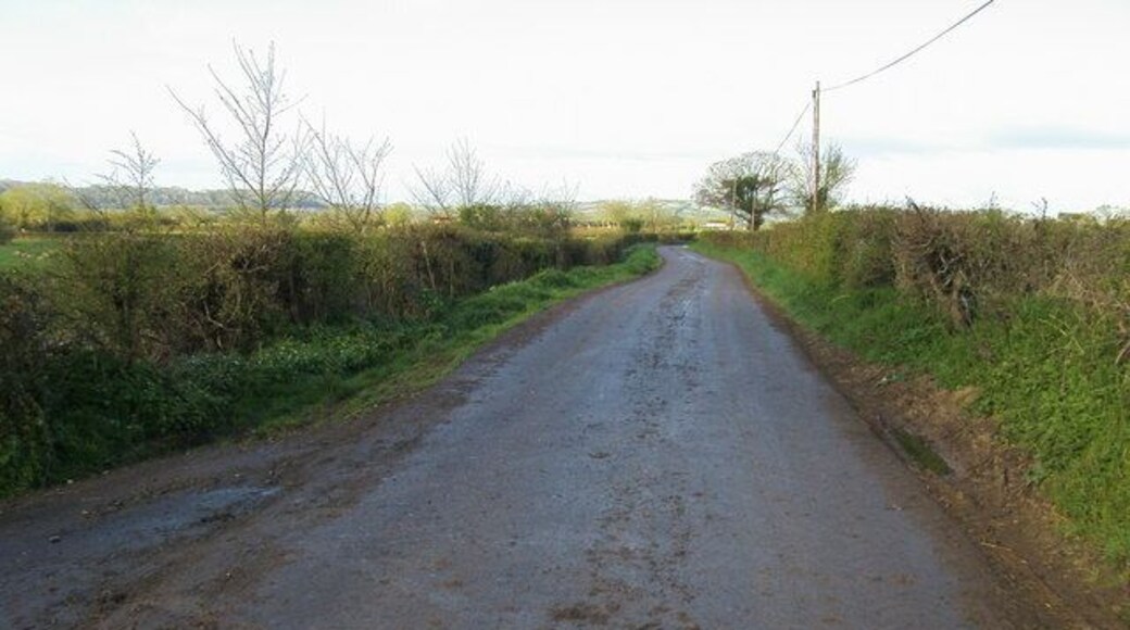 Hayes Lane Hayes Lane heading to Lower Hayes Farm