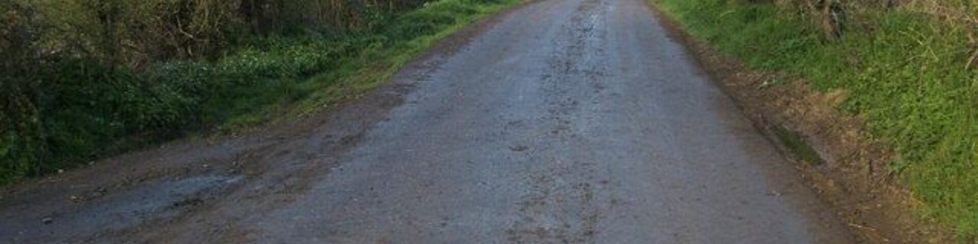 Hayes Lane Hayes Lane heading to Lower Hayes Farm